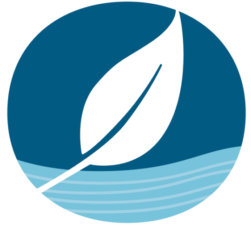 Logo: image of a leaf or feather above water, with its stem extending into the water.