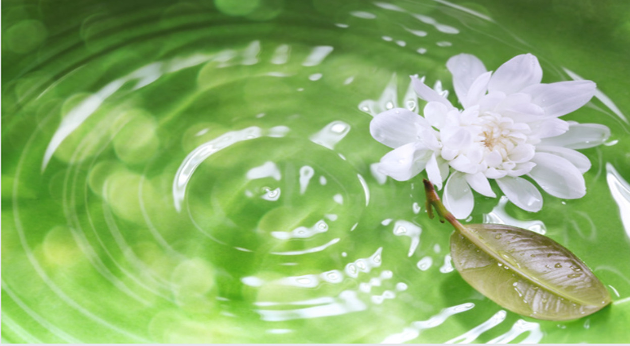 Picture of a white lily and upturned leaf floating on a rippling pool of green water.