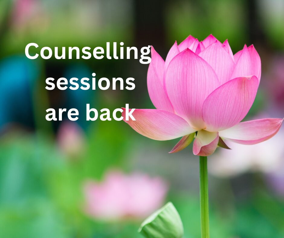Picture of a pink lotus flower. 'Counselling sessions are back.'